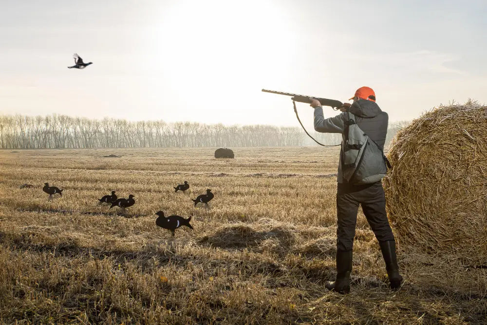  Grouse Shooting 